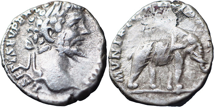 Silver denarius of Septimius Severus with elephant walking right